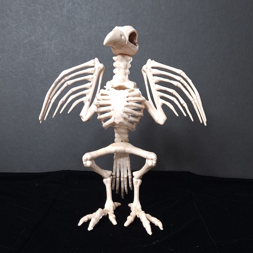 13” Bird Skeleton Halloween Decoration Standing Spooky Haunted Gothic Prop Decor